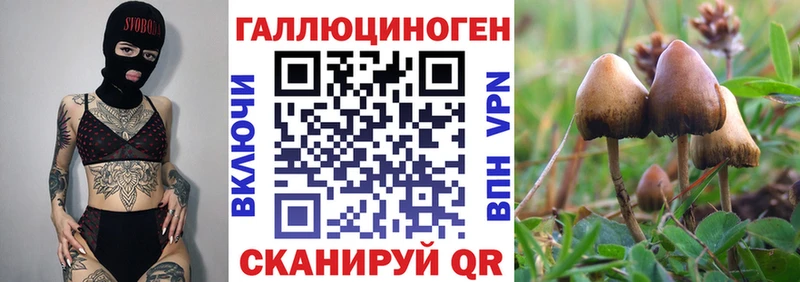 как найти закладки  OMG tor  Галлюциногенные грибы GOLDEN TEACHER  Глазов 